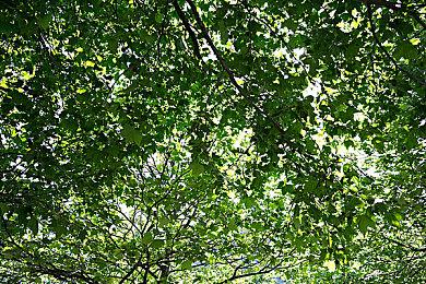 “大陆秀夫”遇上本尊！华硕中国总经理Tony大叔与小岛同框